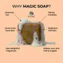 auto draft auto draft